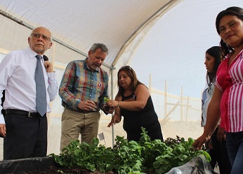 Sociedad de Mujeres Productoras de Hortalizas de Pisagua mostró invernadero a delegación de autoridades