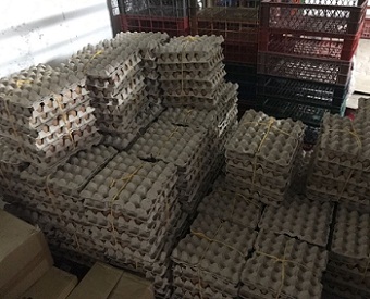 Reiteran alerta: Más de 27 mil huevos ingresan ilegalmente a la Región este año