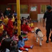 Unidad Canina de Gendarmería se presentó en jardín infantil, mostrando a párvulos cualidades de ejemplares amaestrados