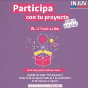 Fondo concursable por 300 millones de pesos para financiar proyectos juveniles implementa el INJUV