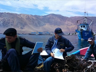 Más de 18 mil kilos de algas pardas extraídas de forma ilegal, incautadas por Sernapesca en Tarapacá