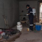 Más de 800 viviendas intervenidas por Programa de Control de Plagas de Seremi de Salud