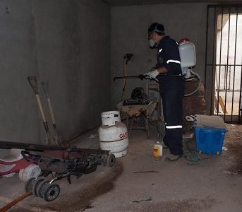 Más de 800 viviendas intervenidas por Programa de Control de Plagas de Seremi de Salud