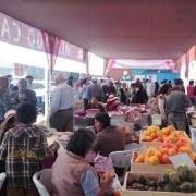 Variada oferta de productos en novena versión del Mercado Campesino