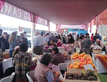 Variada oferta de productos en novena versión del Mercado Campesino