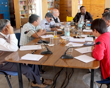 Pozo Almonte: Nueva ordenanza municipal contempla multa para maltrato animal y obliga a dueños al uso de arnés para sus mascotas