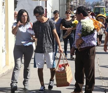 Reiteran prohibición de uso de agua en floreros, norma sanitaria para  evitar aparición de mosquitos que transmiten enfermedades