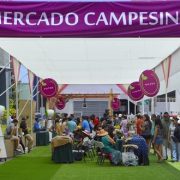 Con recursos del FNDR  aseguran la continuidad del Mercado Campesino