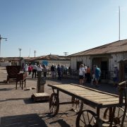 Salitreras destino predilecto de turistas que llegan a Iquique en cruceros internacionales