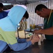 FOSIS lleva a El Colorado programa para el control y prevención de la población canina y felina