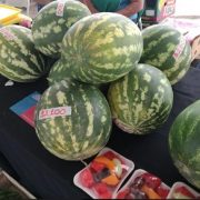 Frutas de estación se tranformaron en las protagonistas del Mercado Campesino que impulsa INDAP