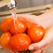 Seremi de Salud confirma brote de cuadro diarreico infeccioso que afecta principalmente a grupo etario entre 5 a 16 años