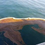 Confirman derrame 5 mil litros de aceite de pescado en el Puerto de Iquique