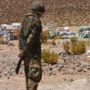 Bolivia: Las FFAA usarán armas contra el contrabando solo en la zona de seguridad fronteriza