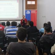 Fondo de Medios pone el acento en iniciativas relativas a distintas áreas de la Región, como identidad, arte, cultura y desarrollo