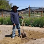 Destinan más de $180 millones para recuperar suelos degradados en Tarapacá el segundo semestre