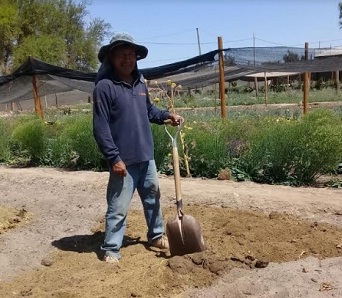 Destinan más de $180 millones para recuperar suelos degradados en Tarapacá el segundo semestre
