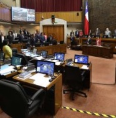 Cámara Alta rinde minuto de silencio en memoria de comunero mapuche, Camilo Catrillanca