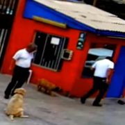 Sumario Interno en la UNAP por robo de celular a estudiante, que contenía grabación del ingreso de FFEE de carabineros al recinto universitario