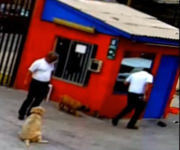 Sumario Interno en la UNAP por robo de celular a estudiante, que contenía grabación del ingreso de FFEE de carabineros al recinto universitario