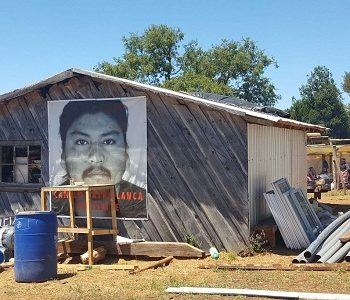 La historia del día en que Catrillanca fue detenido a bordo de un auto robado