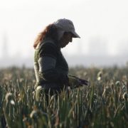 A casi tres décadas del Informe Rettig: Fuerzas Armadas aún no devuelven recintos utilizados en violaciones a los DDHH