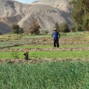 Partió recepción de avisos de inicio de prácticas labores anticipadas para Concurso de recuperación de suelos degradados