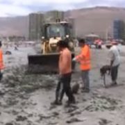Municipio de Iquique refuerza tareas de limpieza en Cavancha, el principal balneario de la ciudad