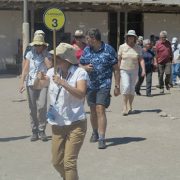 Fiscalizan a los 17 buses que trasladaron por tarapacá a turistas del crucero “seven seas explorer”