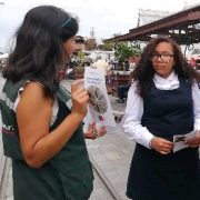 Inician campaña de difusión para el rescate y reinserción en su medio natural de la golondrinas de mar negra