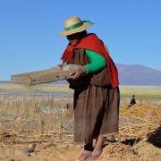 Comunidades de Colchane y Huara conocen proyecto sobre Sistemas Importantes del Patrimonio Agrícola Nacional