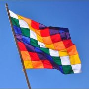 Por “capitalista, xenofóbico y destructor de los Pueblos Originarios”, comunidades rechazan consulta indígena “que el gobierno intenta imponernos”