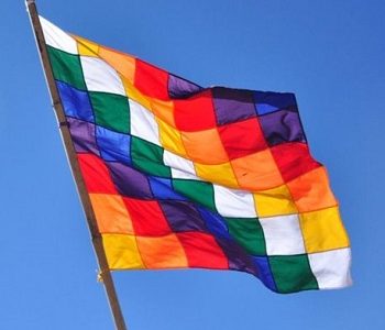 Por “capitalista, xenofóbico y destructor de los Pueblos Originarios”, comunidades rechazan consulta indígena “que el gobierno intenta imponernos”