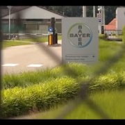 Documental: La semilla del MAL. Bayer y Monsanto