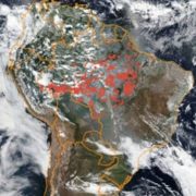 El denominado «Pacto de Leticia por la Amazonia»: breves apuntes