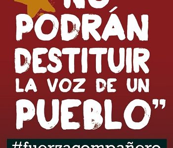 Suman apoyos al Diputado Gutierrez. Colectivo no reconoce legitimidad legal ni autoridad moral al TC
