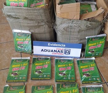 Incautan contrabando de trampas para ratones. Mercancía no fue declarada y estaba oculta bajo cajas de tomates y verduras con destino a Tocopilla.