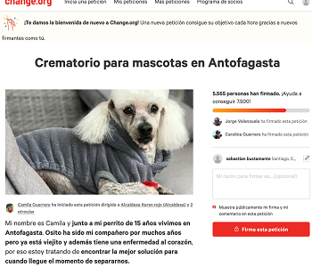 En Antofagasta reúnen firmas para lograr que se construya un crematorio de mascotas