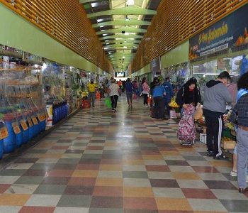 Terminal Agropecuario descarta cierre y permanecerá abierto. Es un punto clave en cadena de abastecimiento