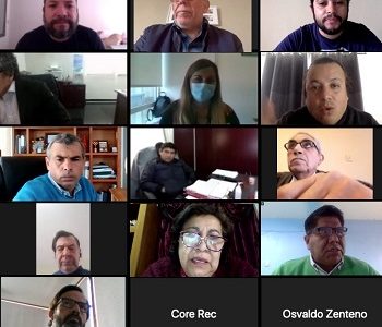 Buscar soluciones y enfrentar impactos negativos de la pandemia, orientó encuentro entre CORE y alcaldes de Tarapacá