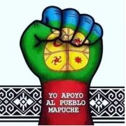 Profesionales, artistas y dirigentes sociales rechazan actos violentos contra comuneros mapuche perpetrados por civiles en La Araucanía