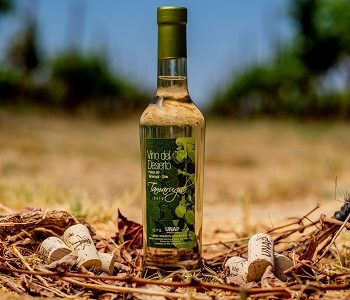 Último día para votar por el Vino del Desierto, nominado en concurso nacional «Premios Fuego»