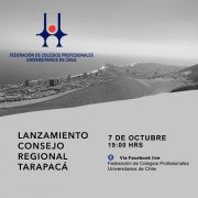 Nueve órdenes de profesionales constituyen Consejo Regional Tarapacá de la Federación de Colegios Profesionales