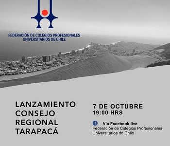 Nueve órdenes de profesionales constituyen Consejo Regional Tarapacá de la Federación de Colegios Profesionales