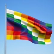 Pueblos indígenas interpelan a parlamentarios de Chile Vamos para que no los excluyan del actual de representación en proceso constitucional