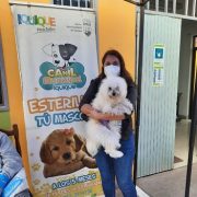 Avanzan atenciones a las mascotas y se reducen las listas de espera que aumentaron por la pandemia