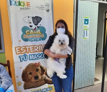 Avanzan atenciones a las mascotas y se reducen las listas de espera que aumentaron por la pandemia