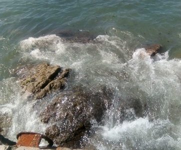 Aguas del Altiplano anuncia investigación y deslinda responsabilidades en emergencia ambiental
