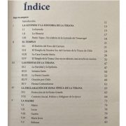 Diácono de Iquique lanzó libro «Bajo tu amparo», en honor a la Virgen del Carmen de la Tirana y su fiesta