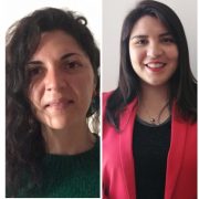 Defectos constitucionales de la Nueva Ley de Migración y sus efectos en Tarapacá